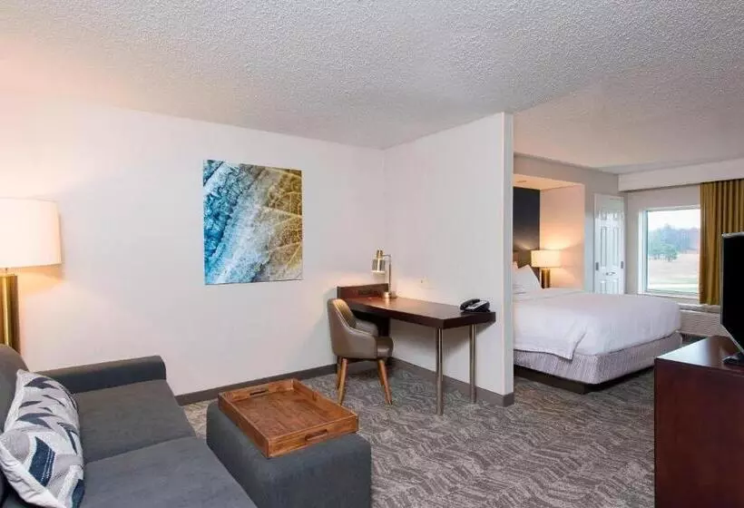 キングサイドベッドのスタンダードワンルーム, Springhill Suites Midland