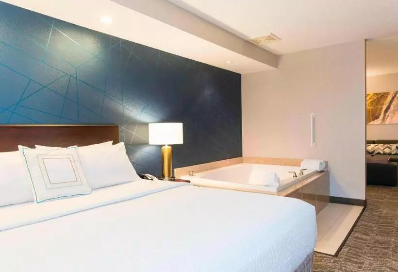 キングサイドベッドのスタンダードワンルーム, Springhill Suites Midland