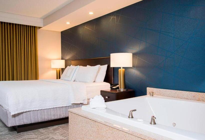 Студио Стандарт Кровать Кинг, Springhill Suites Midland