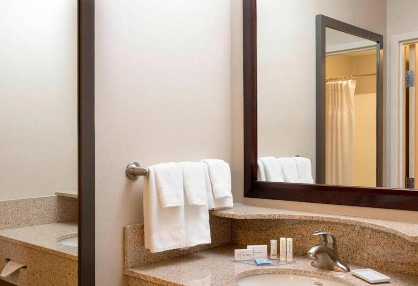 标准工作室, Springhill Suites Midland