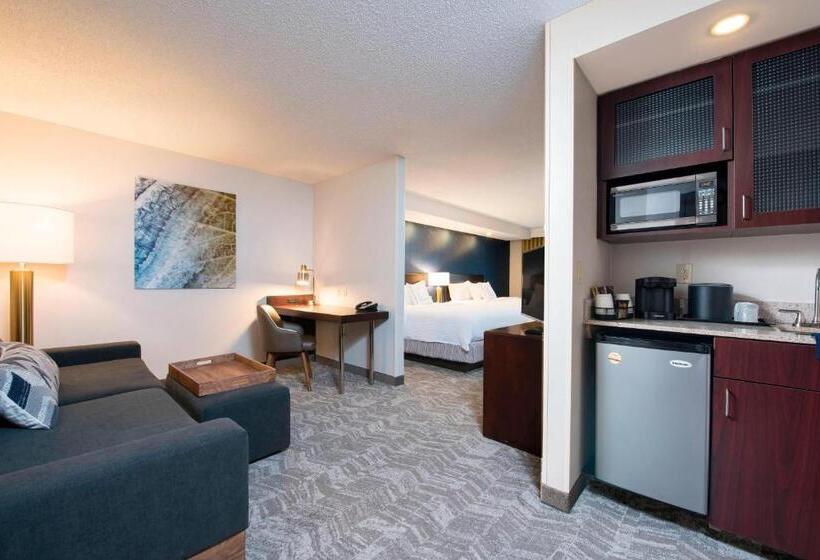 Студия Стандарт, Springhill Suites Midland