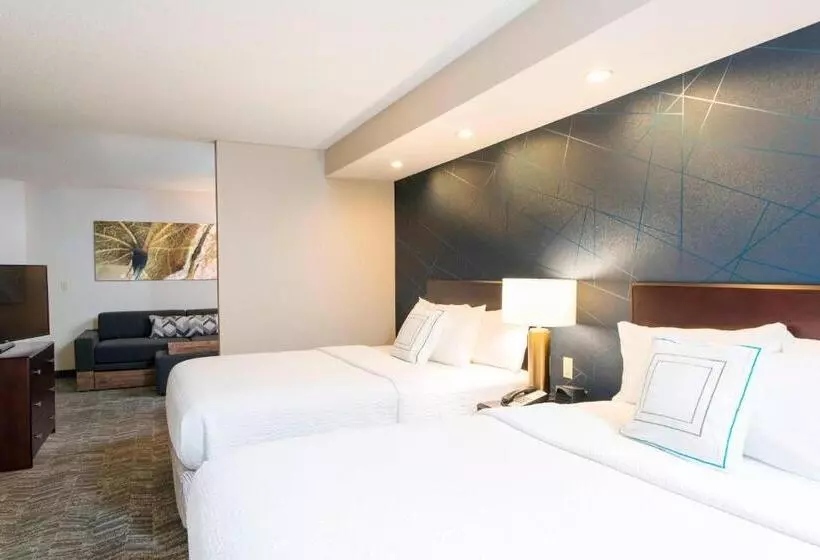 スタンダードスタジオ, Springhill Suites Midland