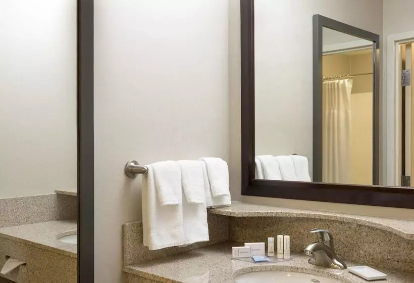 スタンダードスタジオ, Springhill Suites Midland