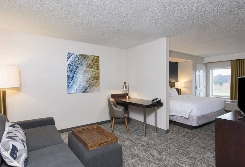 Студия Стандарт, Springhill Suites Midland