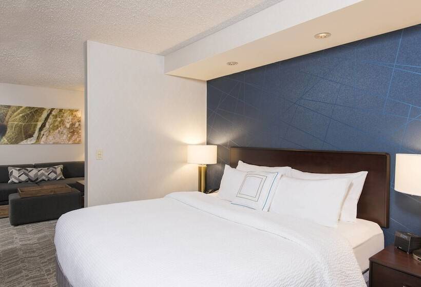 스탠다드 스튜디오, Springhill Suites Midland