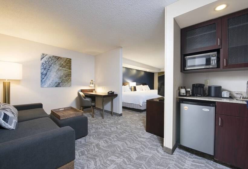스탠다드 스튜디오, Springhill Suites Midland