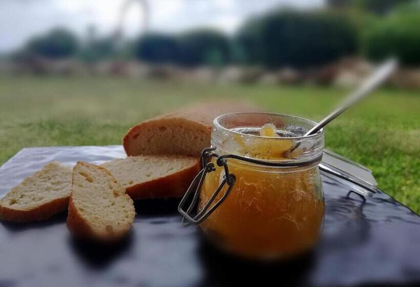 스탠다드 룸, Tenute Plaia Agriturismo