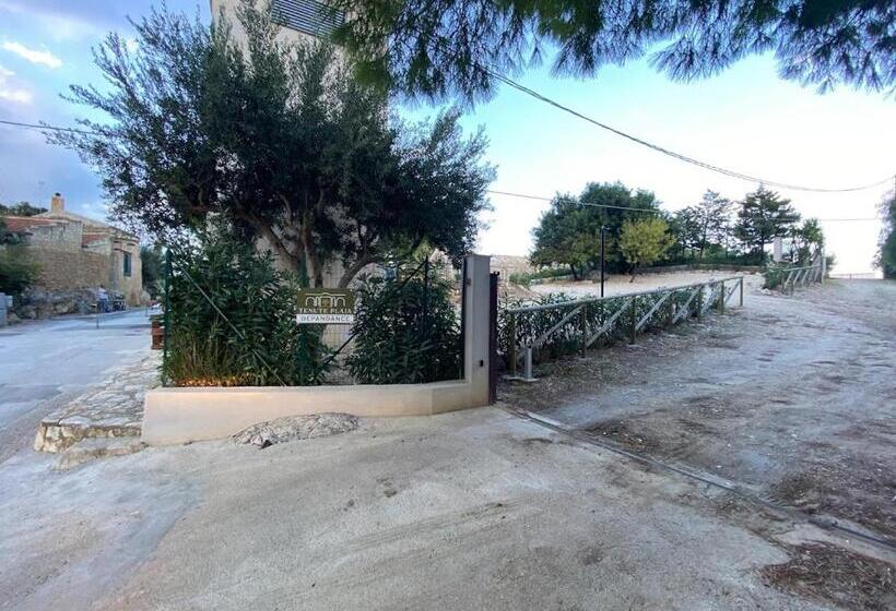 스탠다드 스튜디오, Tenute Plaia Agriturismo