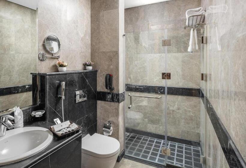 スーペリアトリプルルーム, Roots