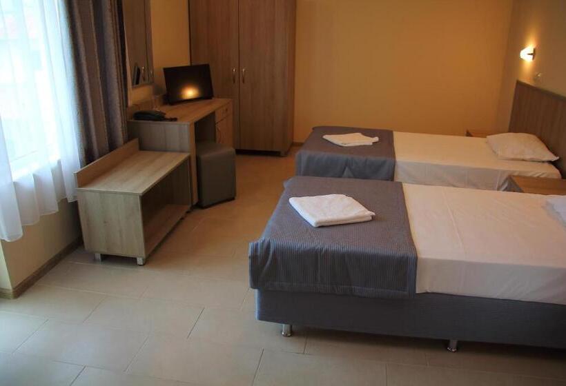 غرفة قياسية, александра палас