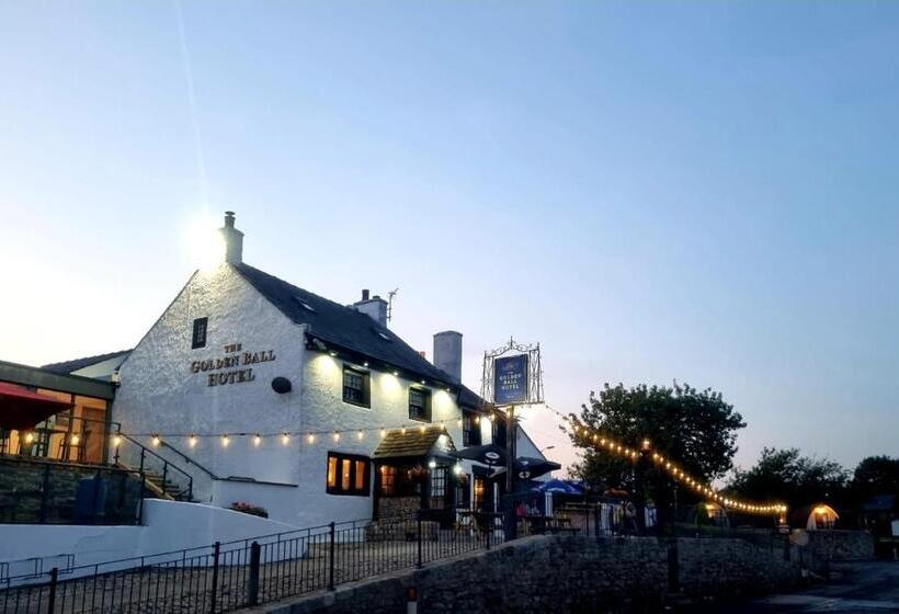 １ベッドルームアパートメント, The Golden Ball