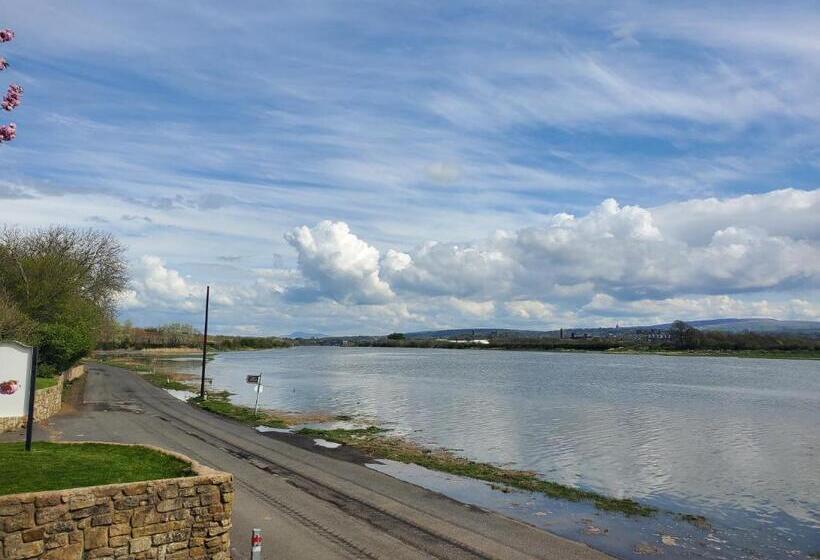 １ベッドルームアパートメント, The Golden Ball