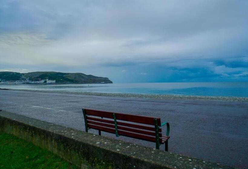 Номер Стандарт Вид на Сад, Carmel House