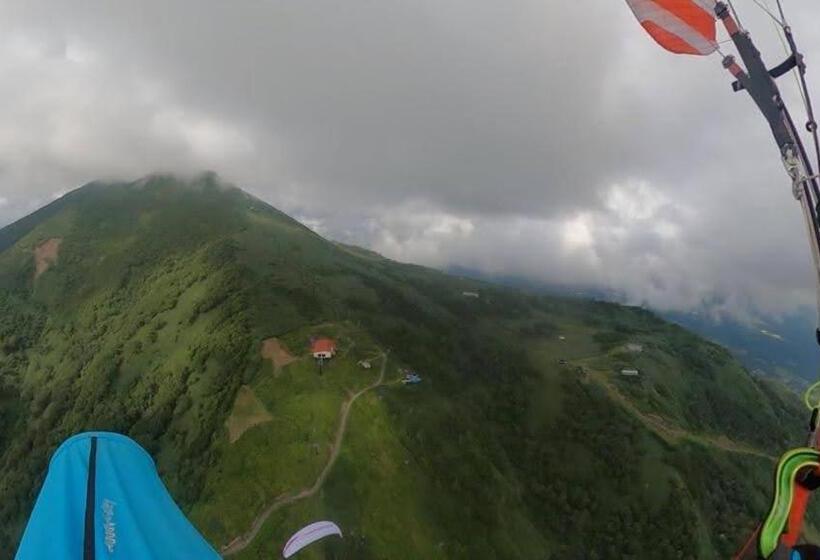 スイート, Country Inn Milky House