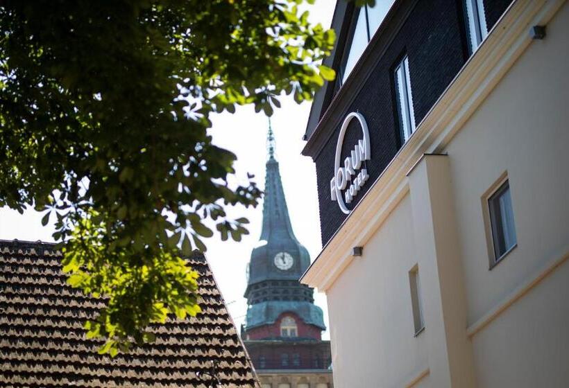 Superior studio with balcony, Forum Garni