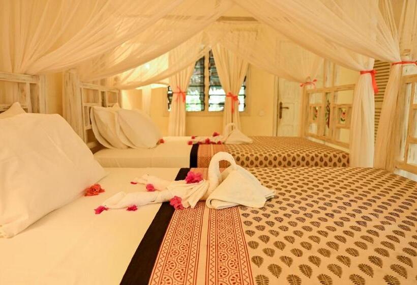 اتاق لوکس, Lions Luxury Eco Resort & Spa