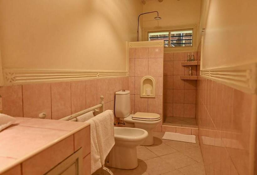 اتاق لوکس, Lions Luxury Eco Resort & Spa