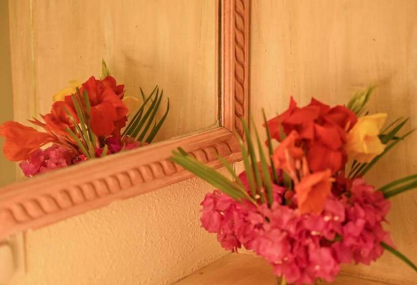 اتاق لوکس, Lions Luxury Eco Resort & Spa