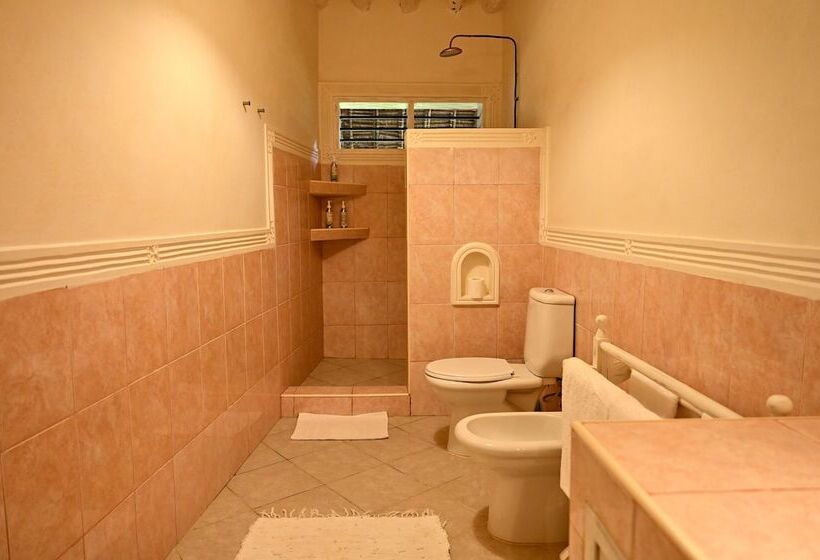 اتاق لوکس, Lions Luxury Eco Resort & Spa