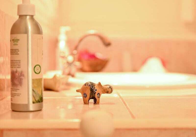 اتاق لوکس, Lions Luxury Eco Resort & Spa