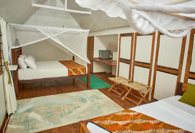 سوییت, Lions Luxury Eco Resort & Spa