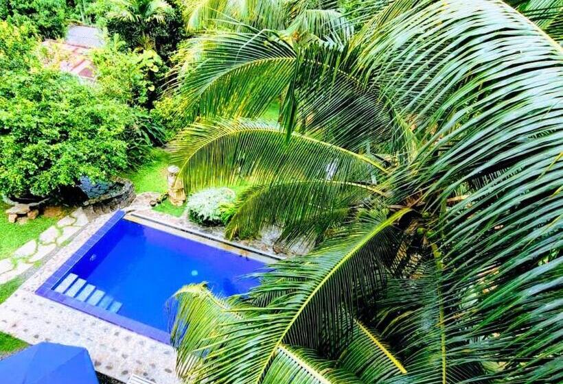 带大床的标准间, Peaceful Green Villa