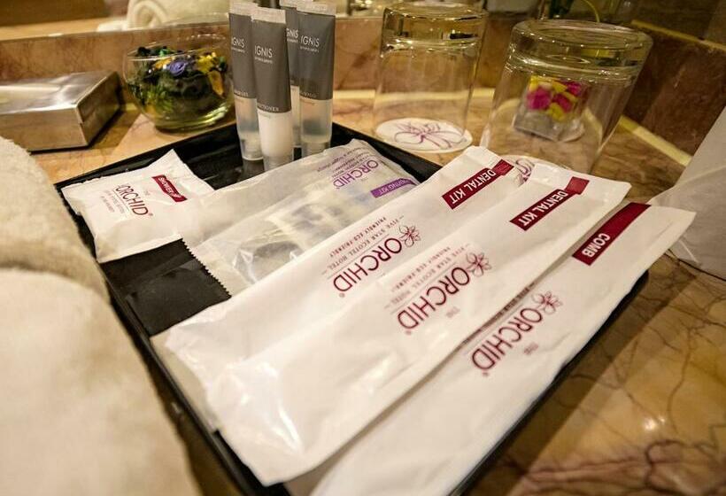 프리미엄 룸, The Orchid Hotel Pune Hinjewadi