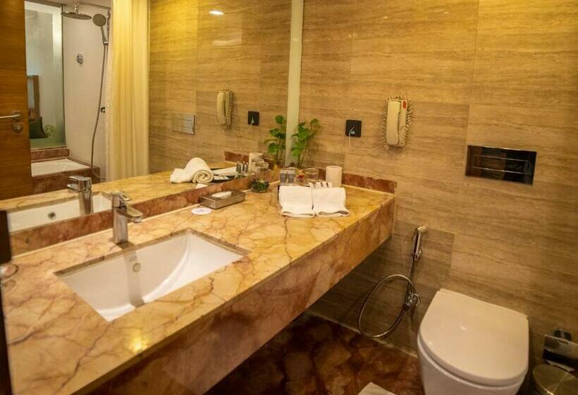 اتاق پرمیوم, The Orchid Hotel Pune Hinjewadi