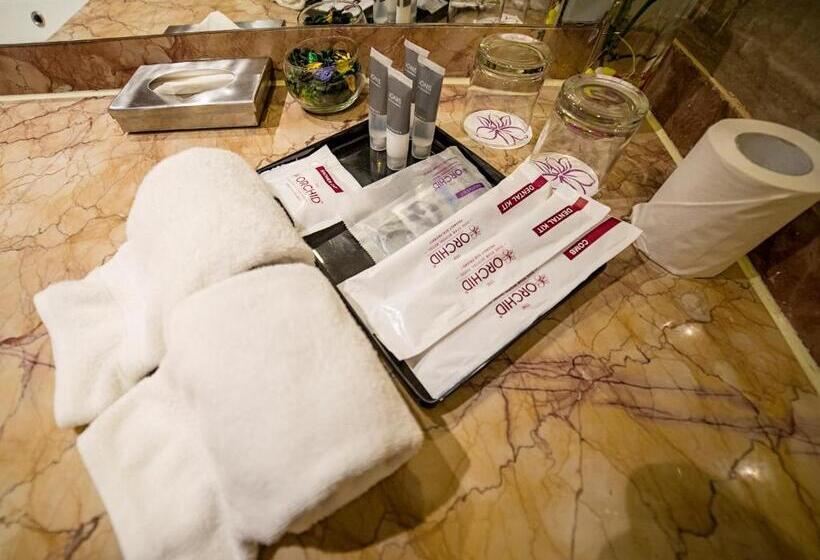 디럭스 룸, The Orchid Hotel Pune Hinjewadi