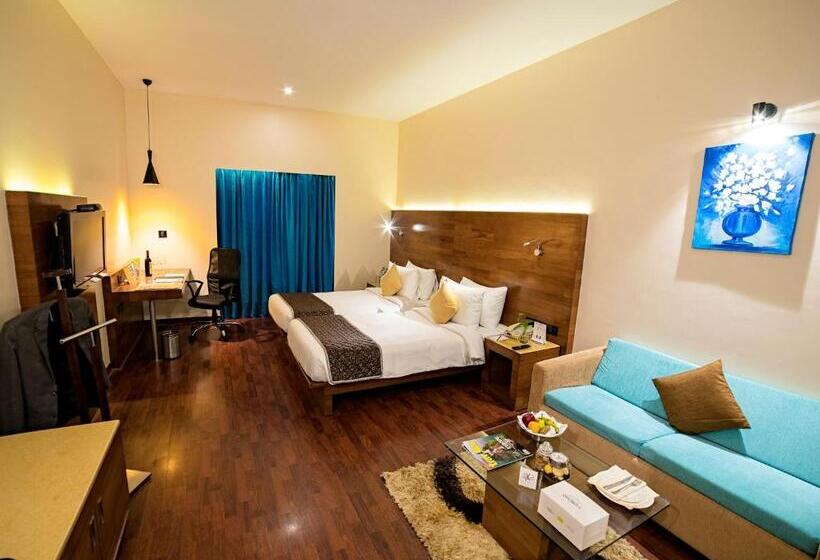 디럭스 룸, The Orchid Hotel Pune Hinjewadi