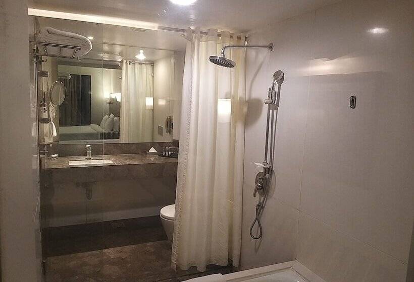 프리미엄 룸, The Orchid Hotel Pune Hinjewadi