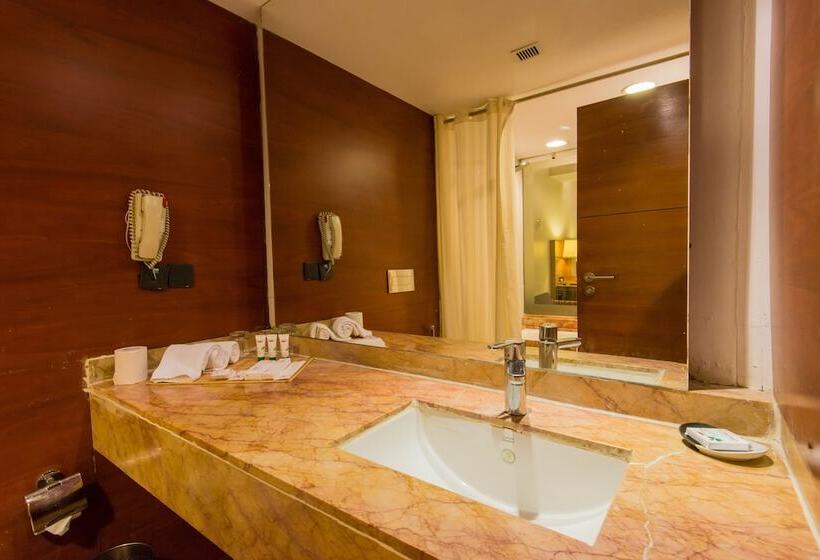 اتاق لوکس, The Orchid Hotel Pune Hinjewadi