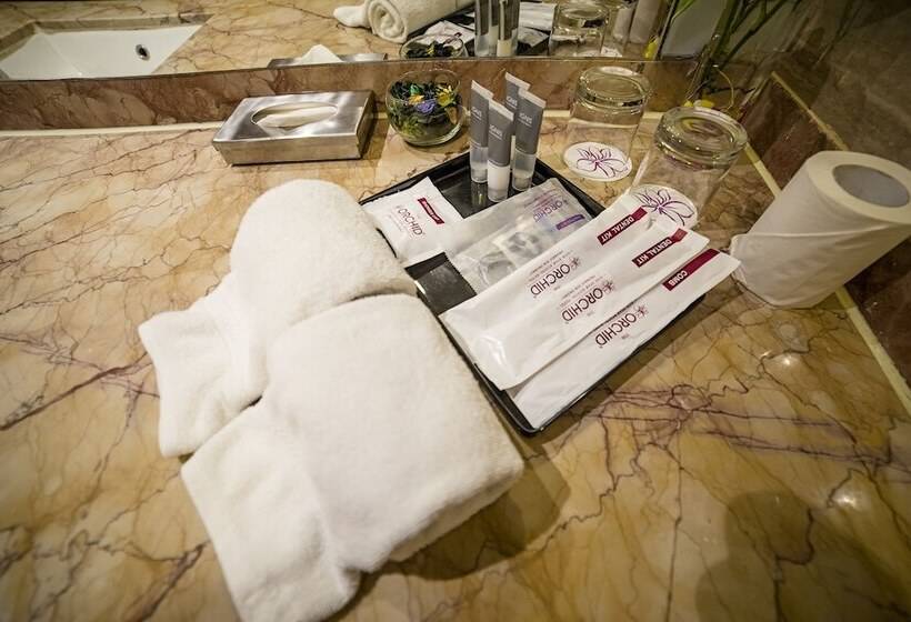 디럭스 룸, The Orchid Hotel Pune Hinjewadi