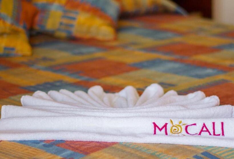 バルコニー付きスタンダードルーム, Mocali