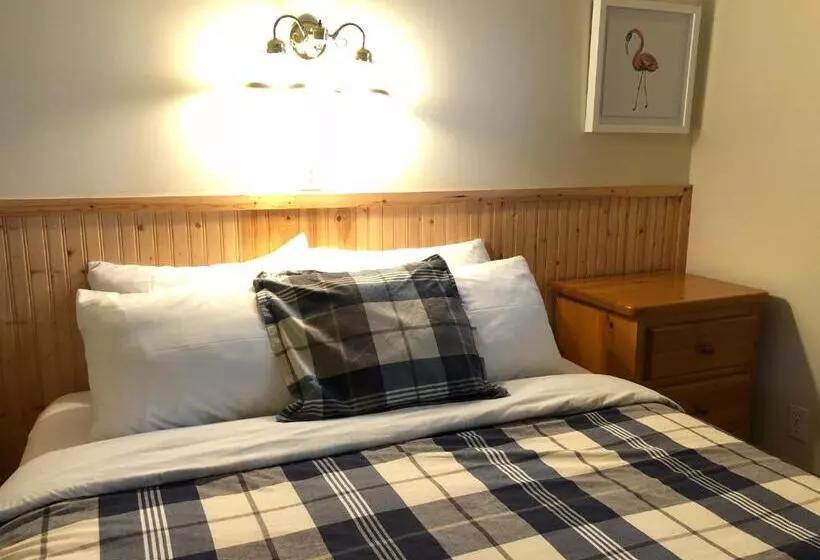 ３ベッドルームハウス, Piccadilly Motel