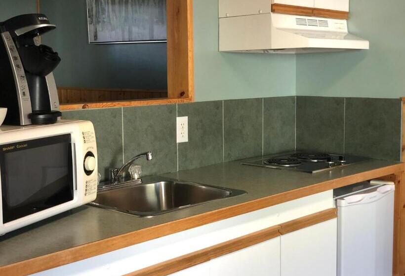 Номер Стандартный Кровать Куин, Piccadilly Motel