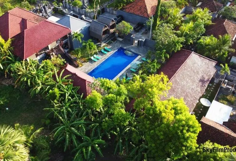 اتاق لوکس, The Bali Menjangan Boutique Villas & Dive Center