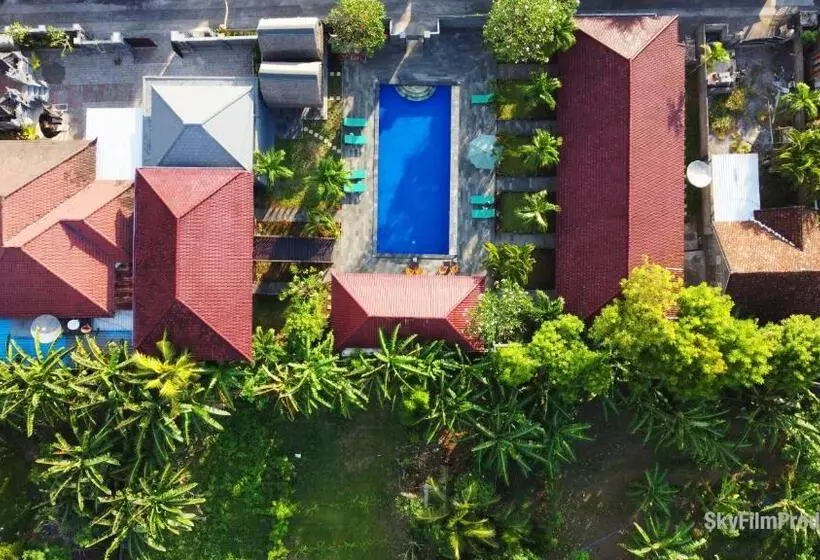 اتاق لوکس, The Bali Menjangan Boutique Villas & Dive Center