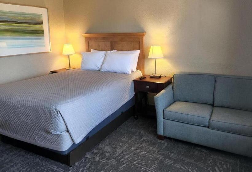 חדר משפחתי, Queen City Inn