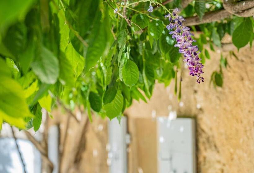 דירת חדר נוף לגינה, Les Logis Du Perussier