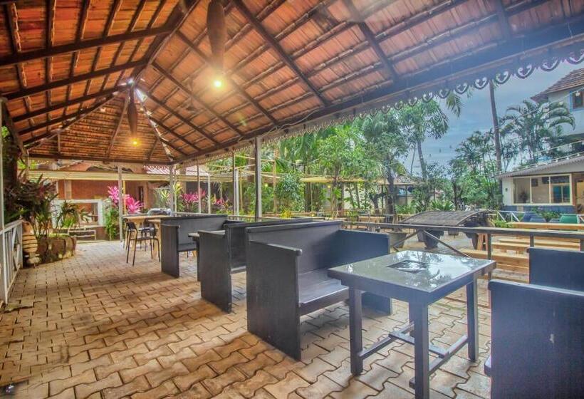 جناح إدارى, Goa Down D Vilage Prime