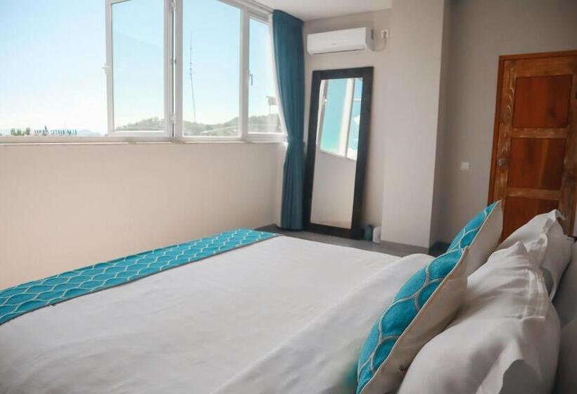 スタンダードスタジオ, Harbour Komodo