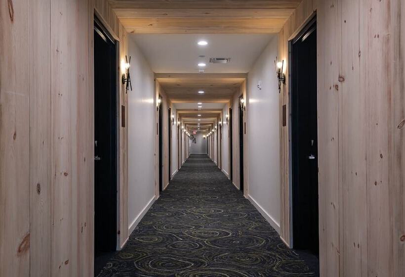 إستوديو بريميوم, The Lodge 30a