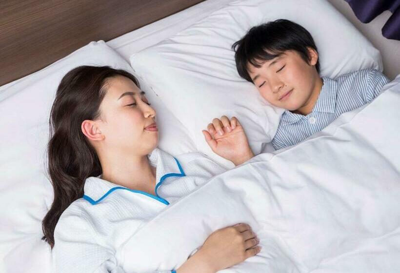 Номер Стандарт, Comfort Hotel Obihiro