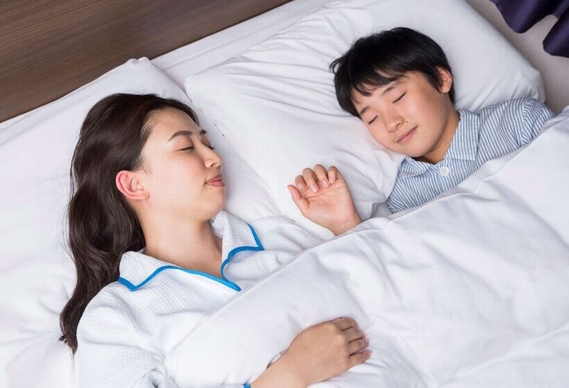 Номер Стандарт, Comfort Hotel Obihiro