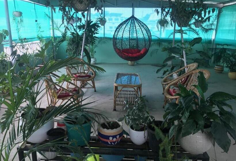 חדר אקונומי, 9backpackers