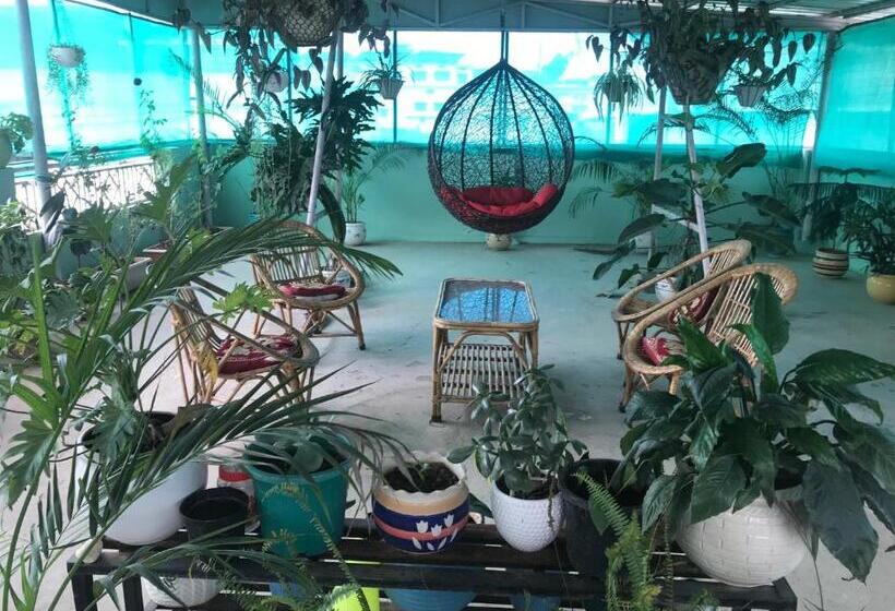 Standard Tent, 9backpackers