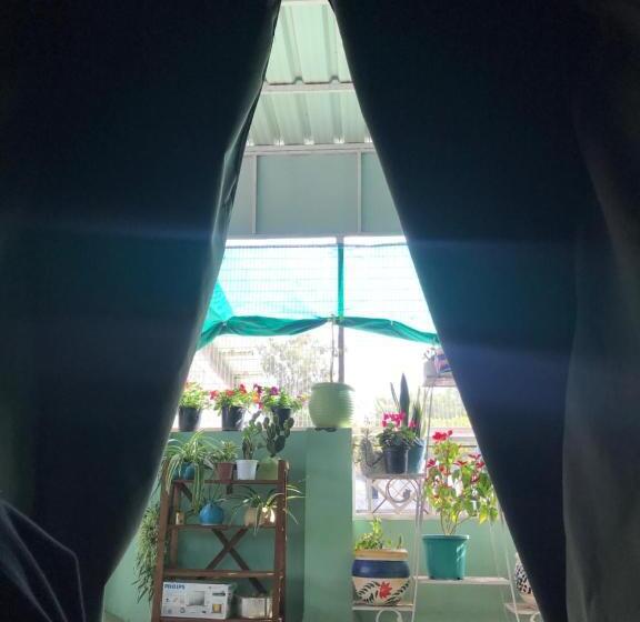 Standard Tent, 9backpackers