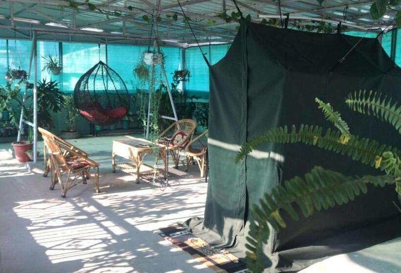 Standard Tent, 9backpackers