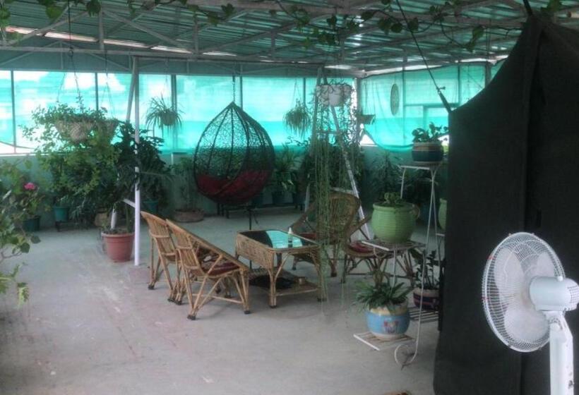 סוויטת 2 חדרי שינה, 9backpackers